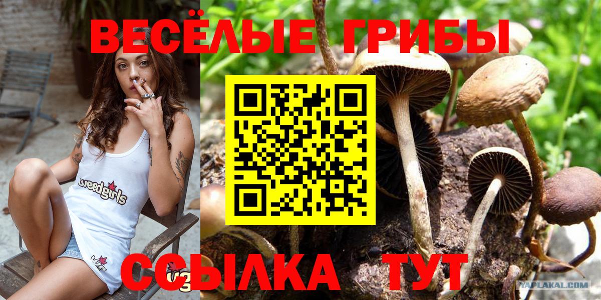 Галлюциногенные грибы GOLDEN TEACHER Качканар